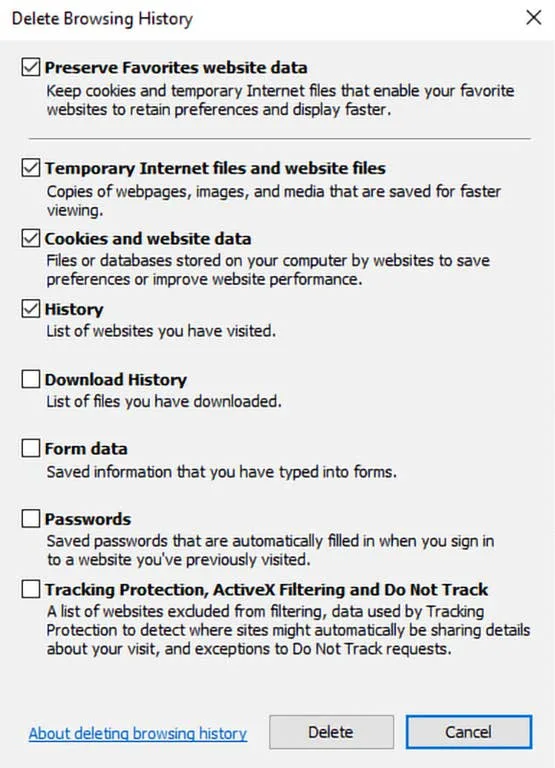 safari show browser cache